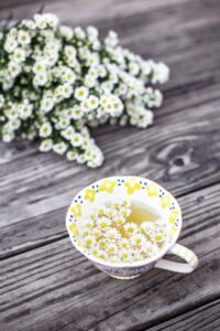 Flower remedies for stress Evangeline Hemrick