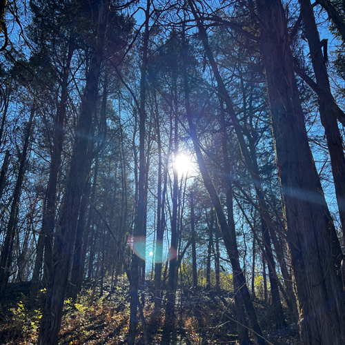 Hike at Serpent Mound sacred ground - sun streaming through blue skies and shadowed trees